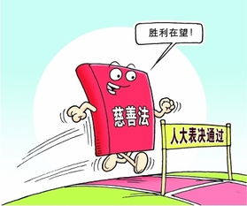 最新慈善組織會(huì )計科目