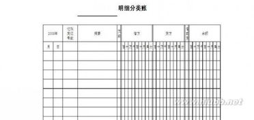明細(xì)賬,會計科目,用三欄式登