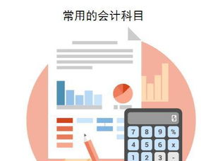 醫院會(huì )計都用什么會(huì )計科目,私立醫院會(huì )計科目,公立醫院會(huì )計科目