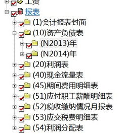 會(huì )計科目,投資,管理,公司