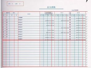 會(huì )計科目總分類(lèi)賬和明細分類(lèi)賬,總分類(lèi)賬會(huì )計科目寫(xiě)錯了,總分類(lèi)賬包括哪些會(huì )計科目
