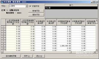 完善,會計科目,設置