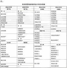 會計科目,設(shè)置,組織