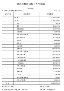 明細,合作社,會(huì )計科目,農村
