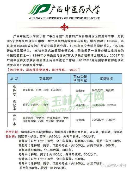 茶杯,用于,執行,會(huì )計科目