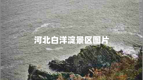 河北白洋淀景區圖片