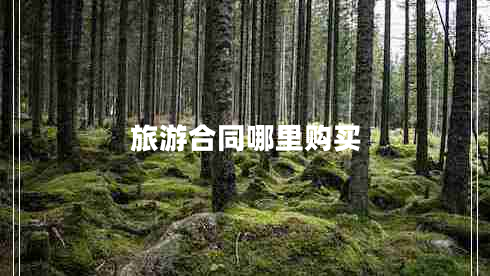 旅游合同哪里購買(mǎi)