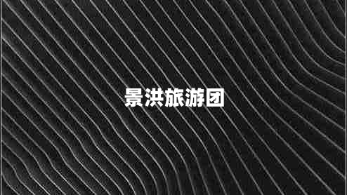 景洪旅游團