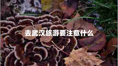 去武漢旅游要注意什么 去武漢旅游要注意什么