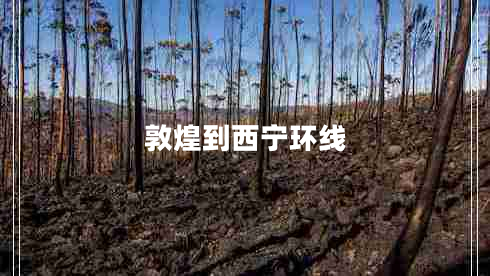 敦煌到西寧環(huán)線(xiàn)