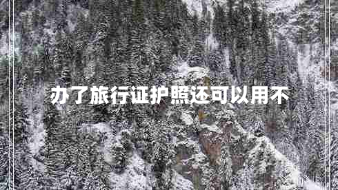 辦了旅行證護(hù)照還可以用不 辦了旅行證護(hù)照還可以用不