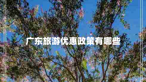 廣東旅游優(yōu)惠政策有哪些