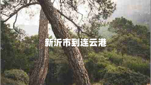 新沂市到連云港