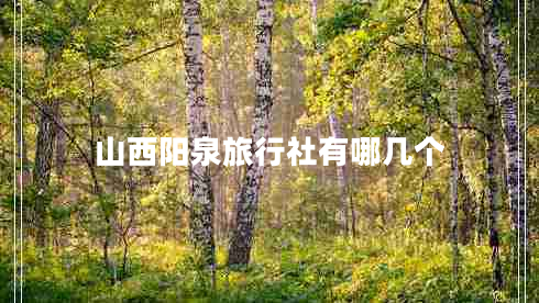山西陽(yáng)泉旅行社有哪幾個(gè)