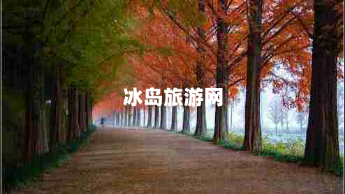 冰島旅游網(wǎng) 冰島旅游網(wǎng)