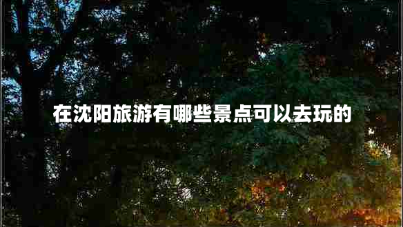 在沈陽(yáng)旅游有哪些景點(diǎn)可以去玩的