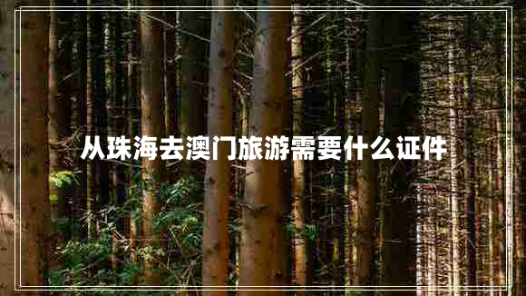 從珠海去澳門(mén)旅游需要什么證件