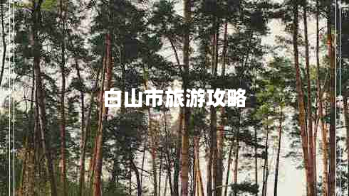 白山市旅游攻略