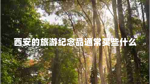 西安的旅游紀念品通常買(mǎi)些什么