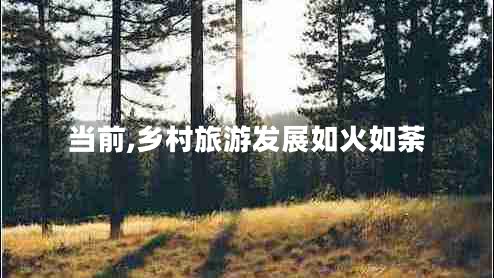 當前,鄉村旅游發(fā)展如火如荼
