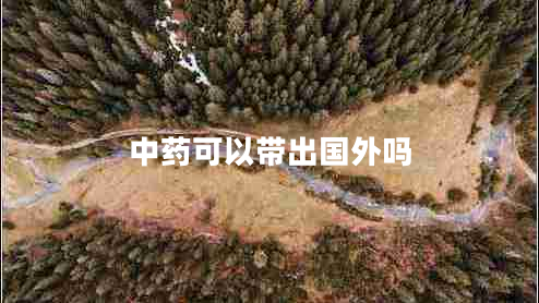 中藥可以帶出國外嗎