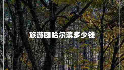 旅游團哈爾濱多少錢(qián)