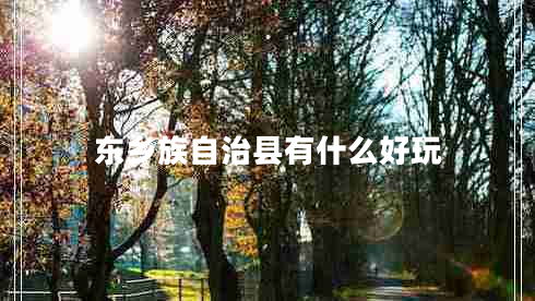 東鄉族自治縣有什么好玩