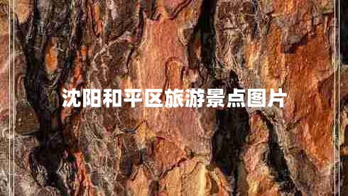 沈陽(yáng)和平區旅游景點(diǎn)圖片