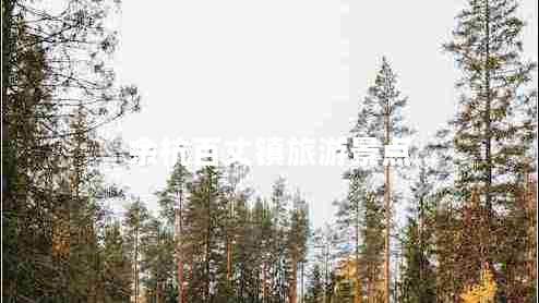 余杭百丈鎮(zhèn)旅游景點