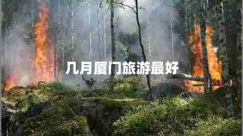 幾月廈門(mén)旅游最好