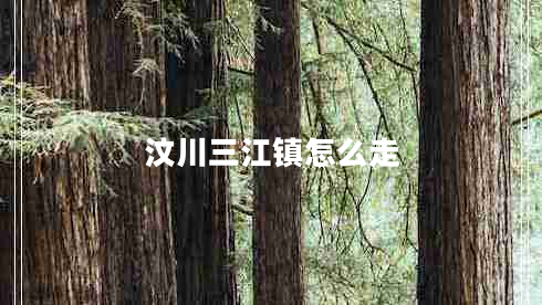汶川三江鎮(zhèn)怎么走 汶川三江鎮(zhèn)怎么走