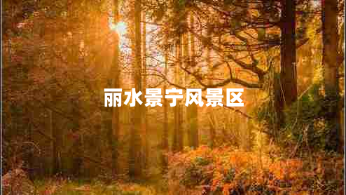 麗水景寧風(fēng)景區(qū)