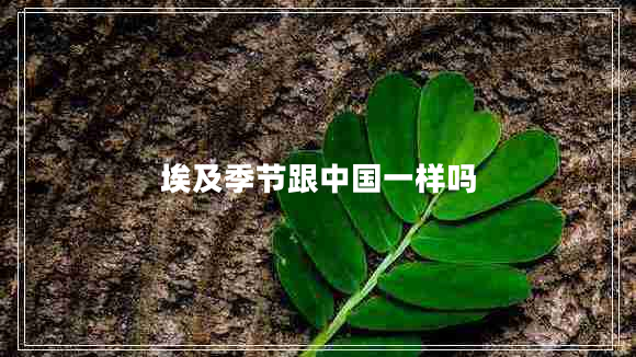 埃及季節跟中國一樣嗎