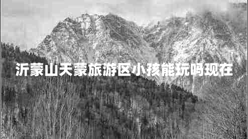 沂蒙山天蒙旅游區小孩能玩嗎現在