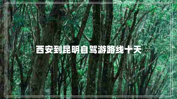 西安到昆明自駕游路線(xiàn)十天
