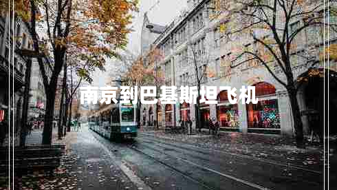 南京到巴基斯坦飛機