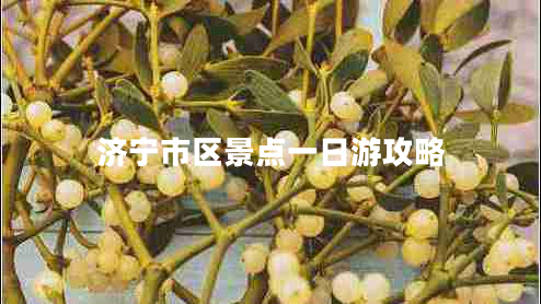 濟(jì)寧市區(qū)景點(diǎn)一日游攻略 濟(jì)寧市區(qū)景點(diǎn)一日游攻略