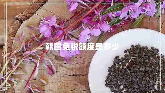 韓國免稅額度是多少