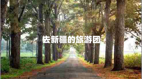 去新疆的旅游團