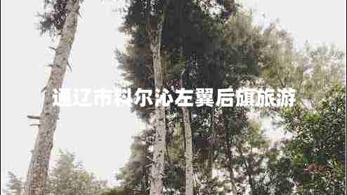 通遼市科爾沁左翼后旗旅游