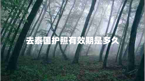 去泰國護照有效期是多久