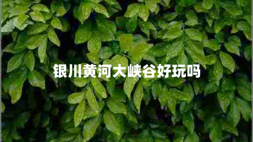 銀川黃河大峽谷好玩嗎