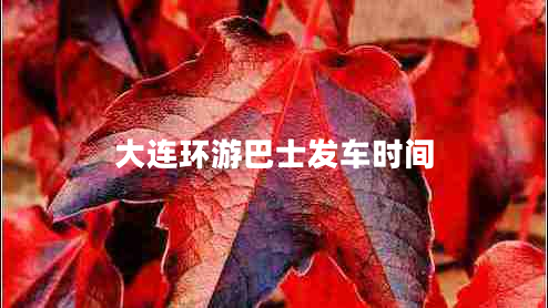 大連環(huán)游巴士發(fā)車(chē)時(shí)間
