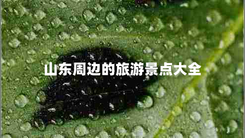 山東周邊的旅游景點(diǎn)大全