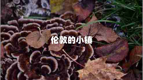 倫敦的小鎮