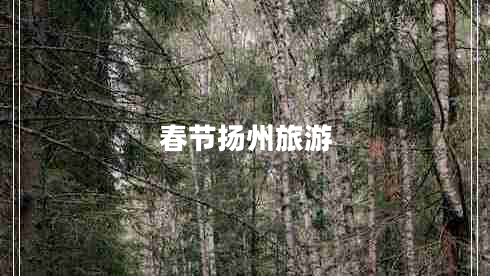 春節揚州旅游