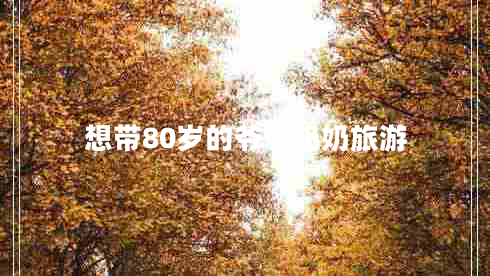 想帶80歲的爺爺奶奶旅游