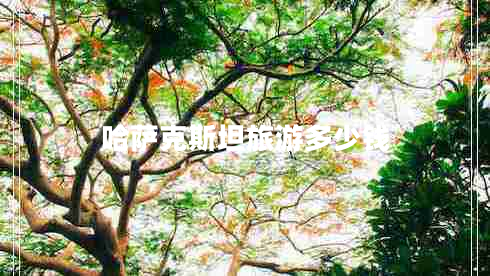 哈薩克斯坦旅游多少錢(qián)
