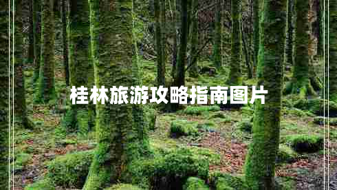 桂林旅游攻略指南圖片