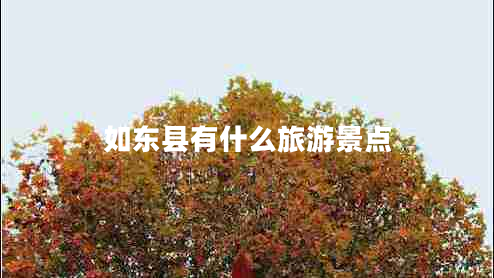 如東縣有什么旅游景點(diǎn)